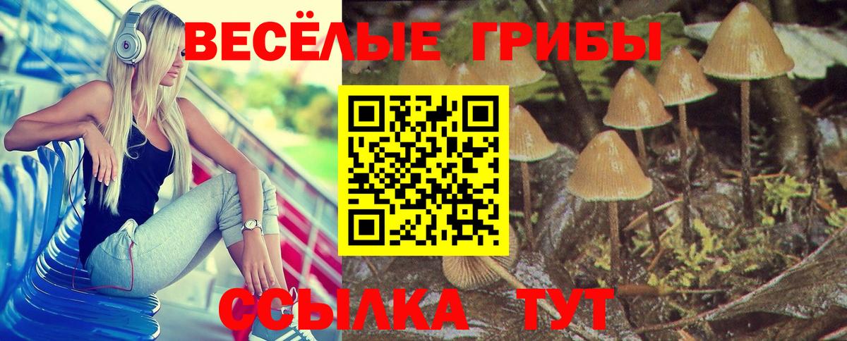 Галлюциногенные грибы GOLDEN TEACHER  Вход с VPN  Кириши 