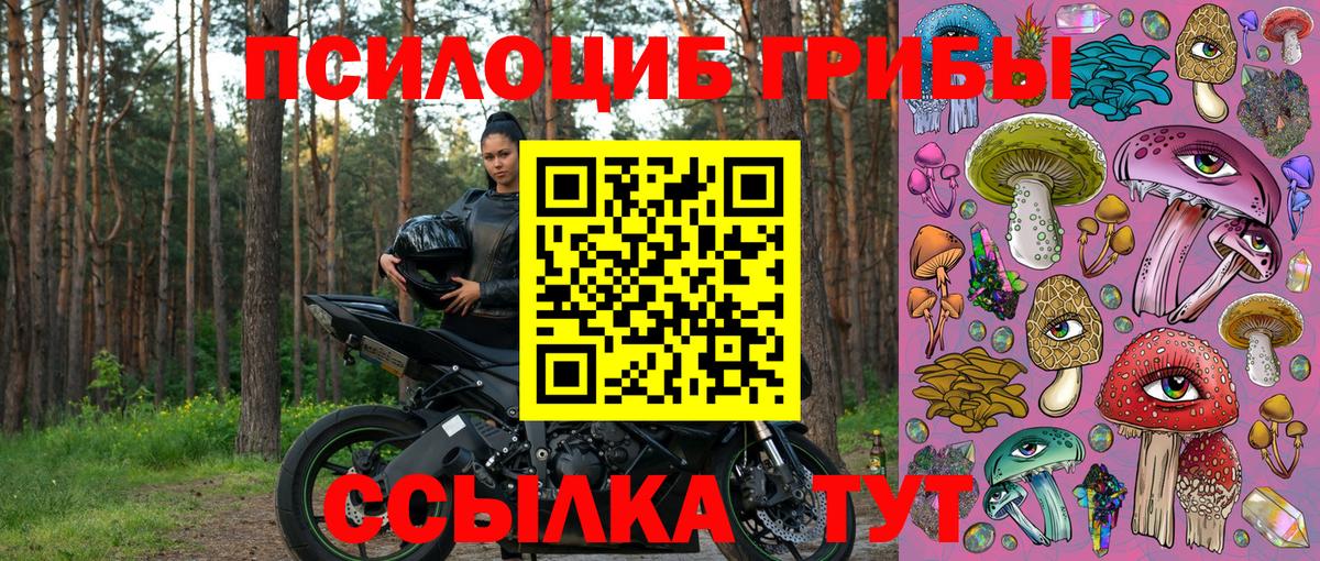 Галлюциногенные грибы GOLDEN TEACHER Кириши